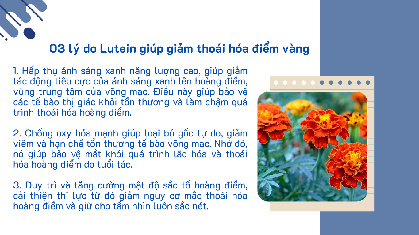 landing page ảnh 3